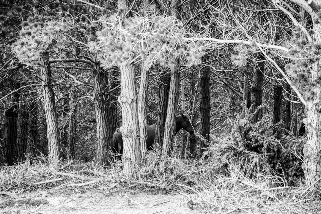 La próxima Directiva de lucha contra el fraude en la UE Almacén de