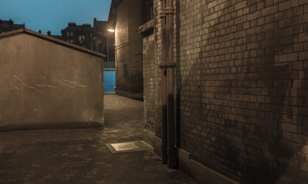 El pago de la prima en el contrato de seguro