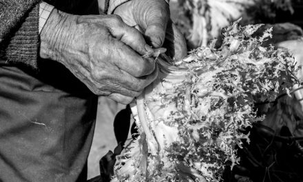 Exoneración del pasivo insatisfecho y vivienda habitual del concursado