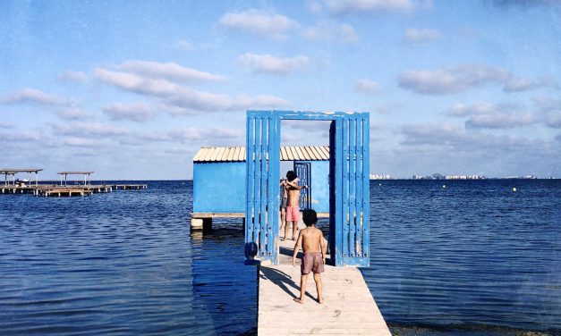 La visión de los economistas de la sociedad anónima