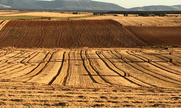 Una nota sobre la imposible interpretación del art. 198 LSC