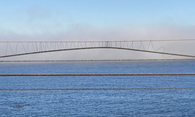 Introducción a la persona jurídica*