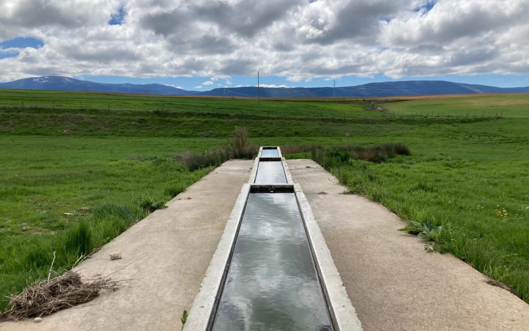 Regla de la resistencia y acuerdos del consejo de administración
