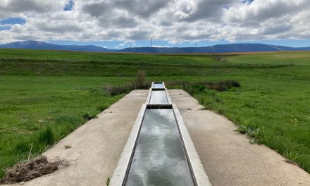 Regla de la resistencia y acuerdos del consejo de administración