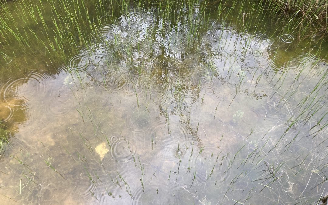 La imposición de aranceles y el uso de información privilegiada (insider trading)