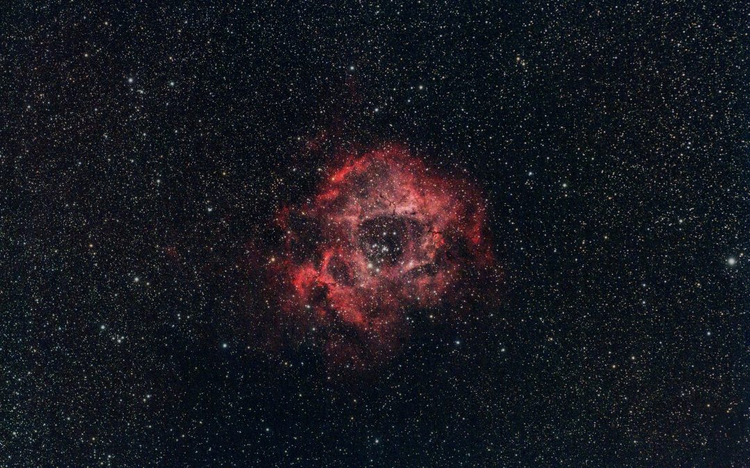 Las tipicidades imprudentes