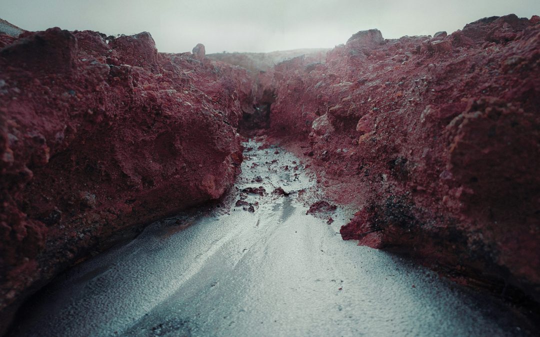 Inicio del plazo de prescripción y decisiones de las autoridades nacionales de competencia