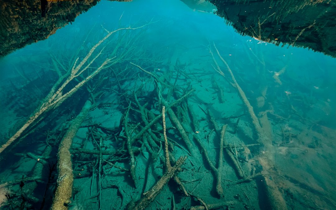 Traslado internacional del domicilio sin modificación de la lex societatis: ¿fue posible alguna vez? Un análisis desde el Derecho comparado