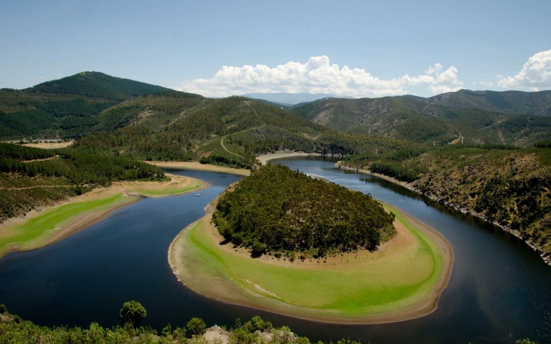 Compensación de daños causados por conductas anticompetitivas sancionadas por la autoridad de competencia (I): ¿Desestimación pendiente la revisión judicial de la decisión sancionadora?