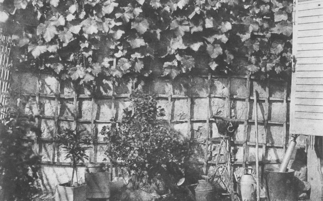 Amnistiar ni es constitucional ni es legislar