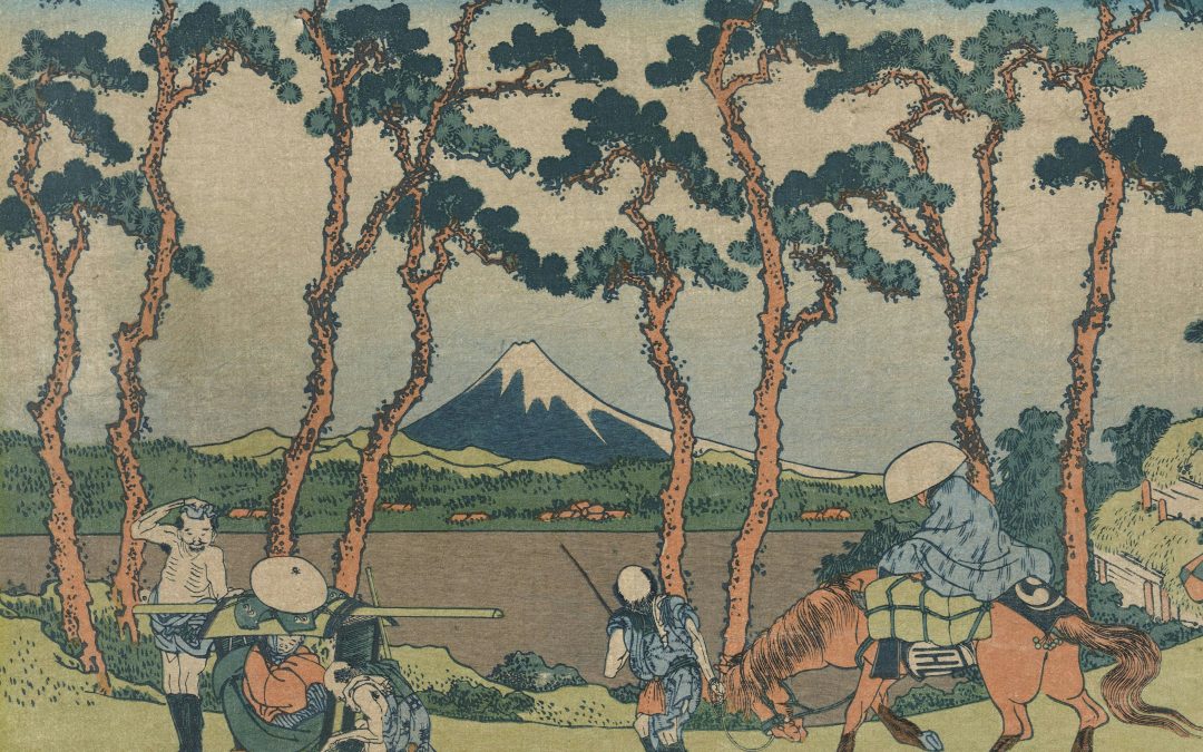 Determinación de la pena y función de la culpabilidad