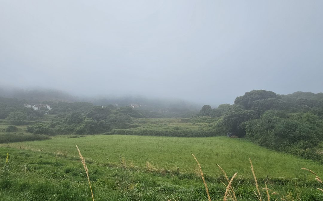 El deber del socio-administrador de actuar honestamente