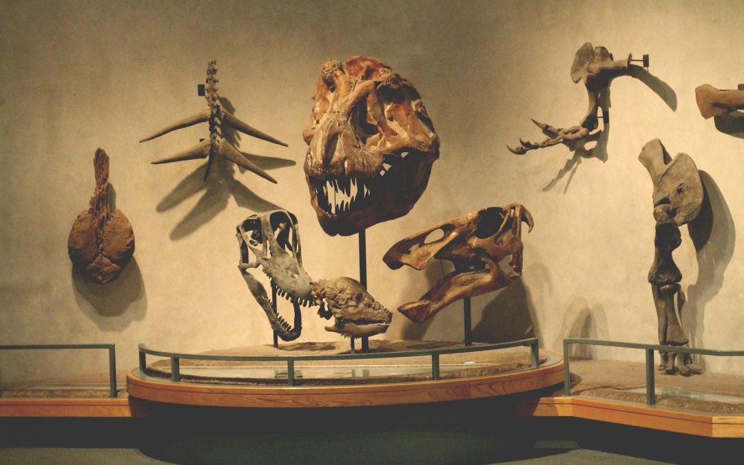 Compensación de daños por conductas anticompetitivas: prescripción, daño, subvenciones e intereses en las SSTS sobre el cártel de los sobres