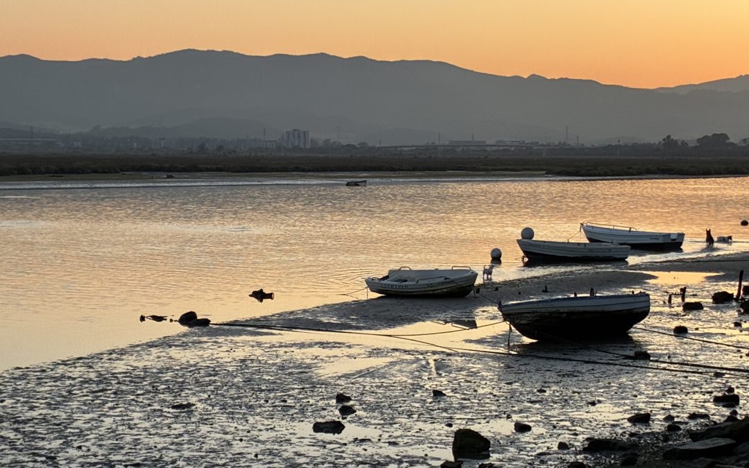 Personalidad jurídica y representación