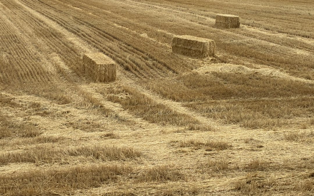 La historia española del Derecho Penal