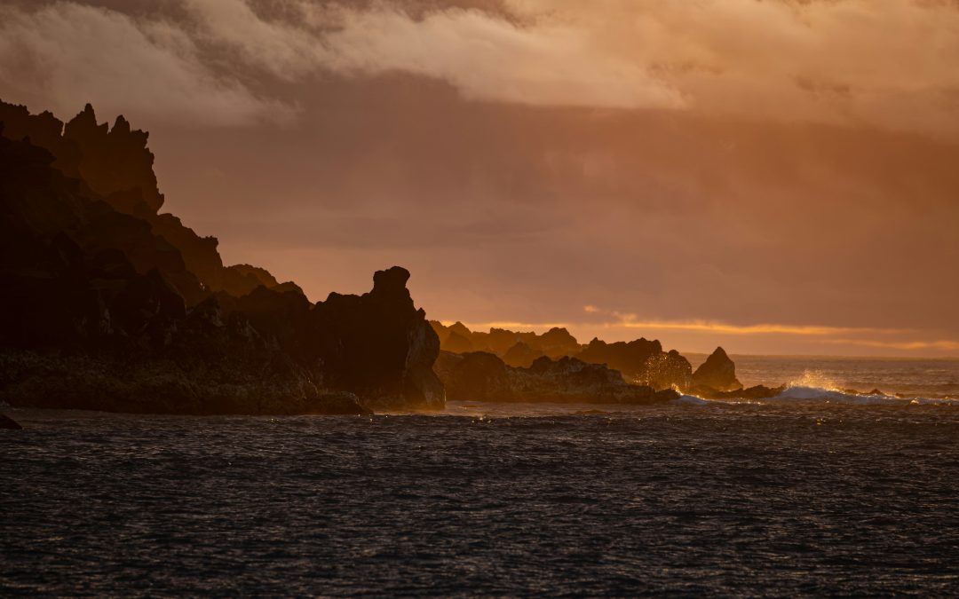 Incorrecta atribución del rango y defectuosa formación de clases