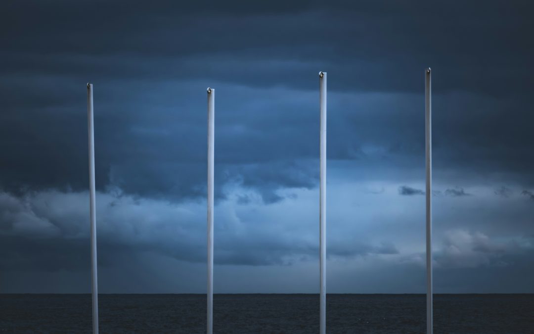 El informe sobre el genocidio en Gaza