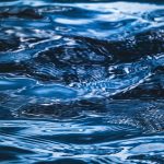 El artículo 1738 del Código civil