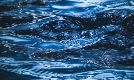 El artículo 1738 del Código civil