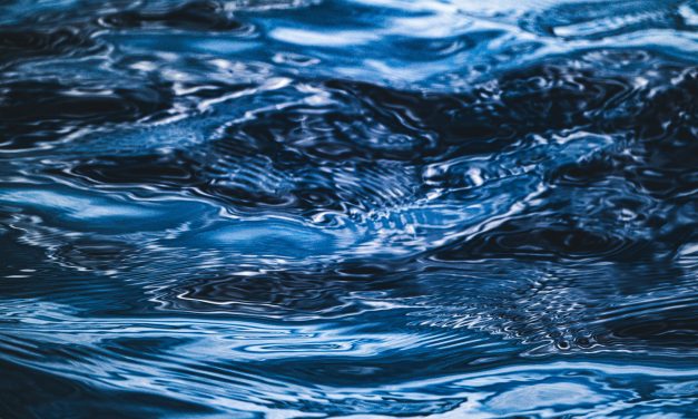 El artículo 1738 del Código civil