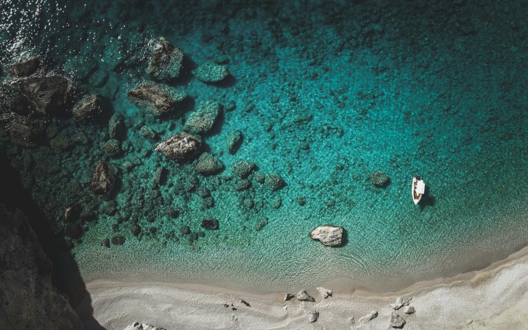 Diccionario para penalistas: cumplimiento normativo, cumplimiento penal, responsabilidad social corporativa, interés social y otras hierbas