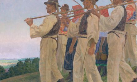 El recurso de amparo mixto como especie (de proceso constitucional) en riesgo de extinción