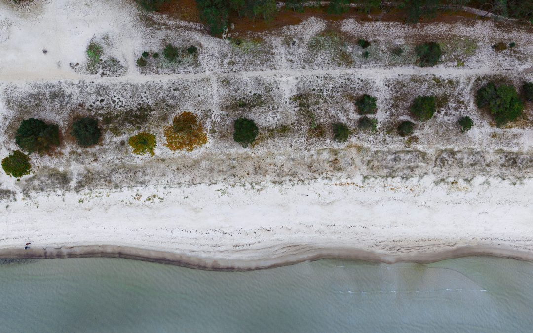 Caso: crowdfunding, criptomonedas, blockchain y responsabilidad ilimitada de los participantes