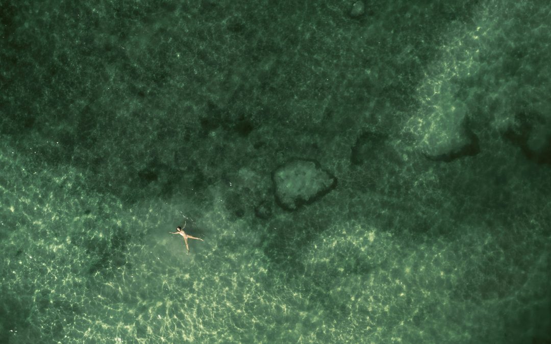 Ejercicio de la acción social de responsabilidad e impugnación del acuerdo de la Junta