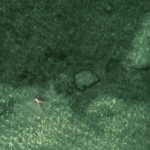 Ejercicio de la acción social de responsabilidad e impugnación del acuerdo de la Junta