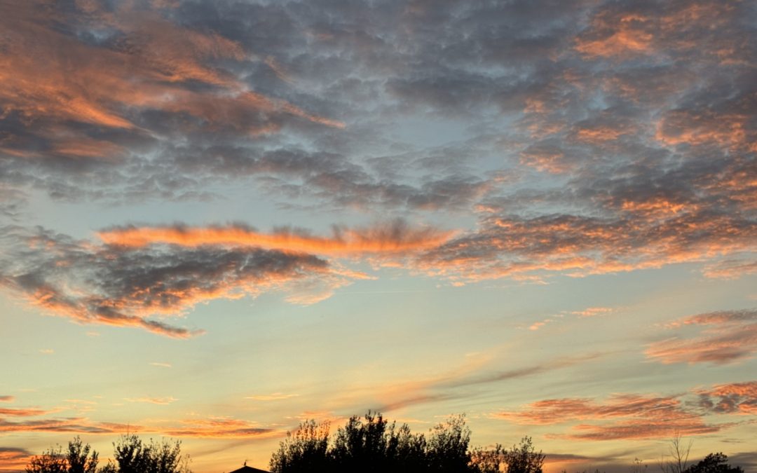 La modificación de los Anexos A y B del Reglamento europeo sobre procedimientos de insolvencia: tres años después