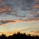 La modificación de los Anexos A y B del Reglamento europeo sobre procedimientos de insolvencia: tres años después