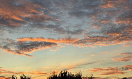 La modificación de los Anexos A y B del Reglamento europeo sobre procedimientos de insolvencia: tres años después