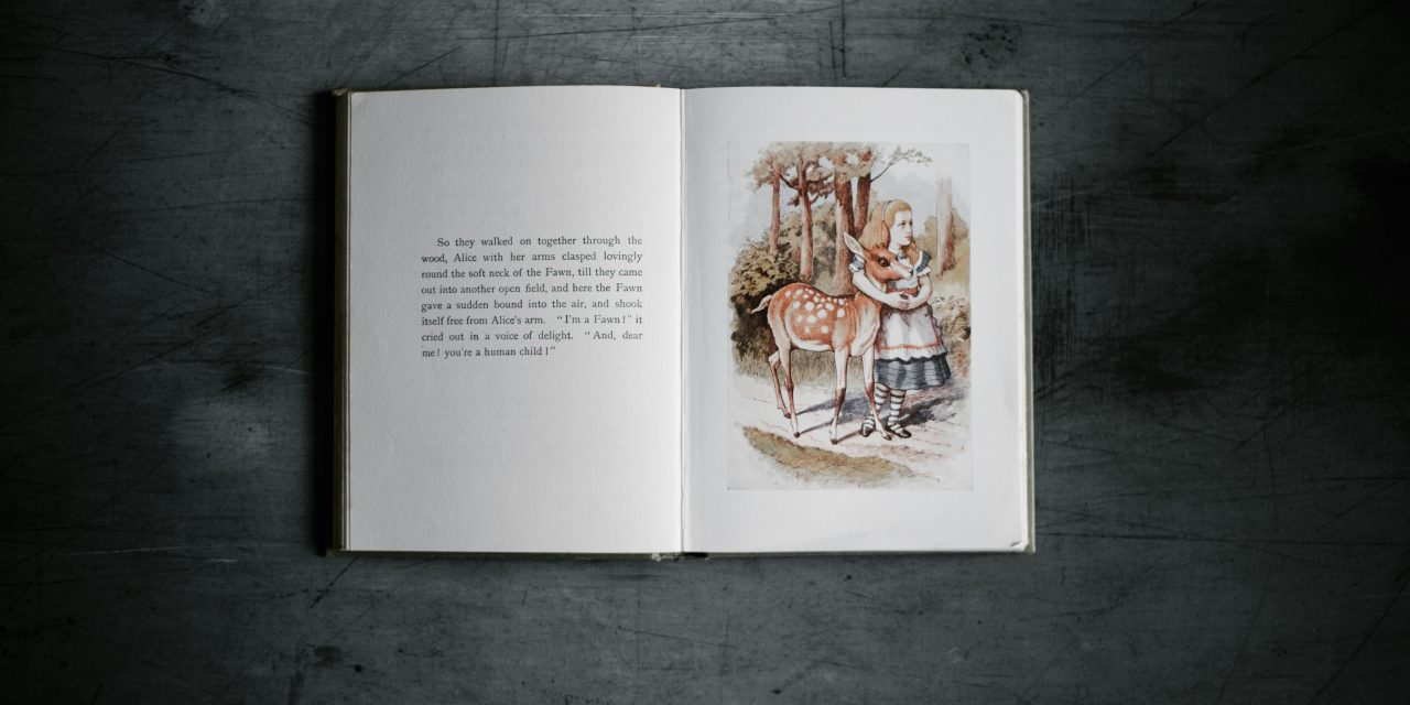 Una nota sobre la prueba en el recurso judicial contra una calificación negativa del registro de la propiedad