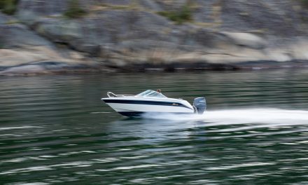 Ejecuciones extrajudiciales*