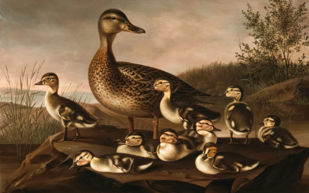 El cese de administradores no requiere autorización de la administración concursal