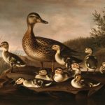 El cese de administradores no requiere autorización de la administración concursal