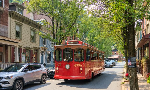 El acreedor público en la reestructuración de sociedades anónimas deportivas SAD*