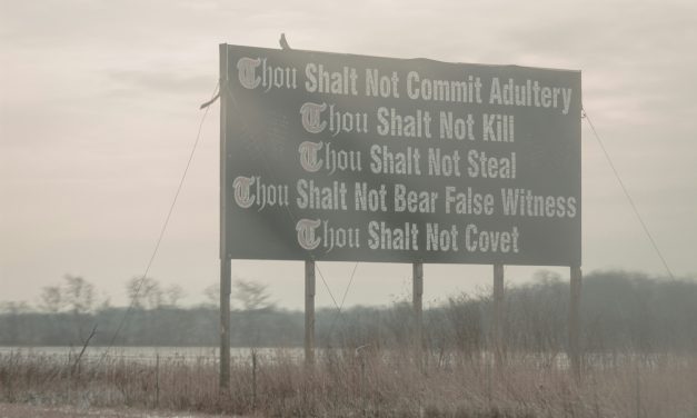 Perito y testigo-perito en el proceso civil: ¿por qué importa la diferencia?