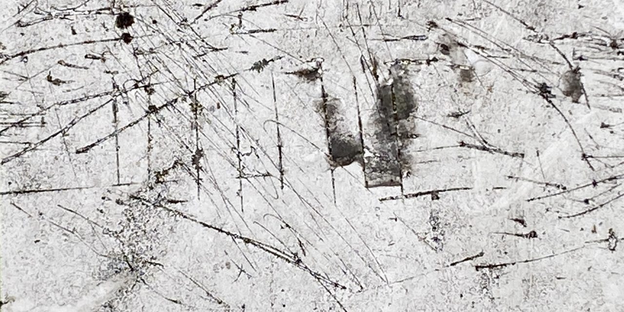 La cláusula penal y su moderación