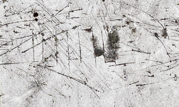 La cláusula penal y su moderación