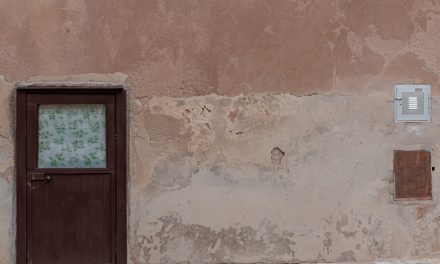 Aportación al proceso de documentos en idioma no oficial