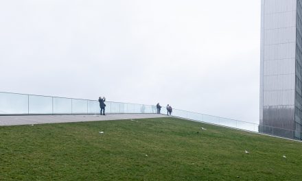 ¿Se pueden adquirir participaciones sociales por medio del 464?