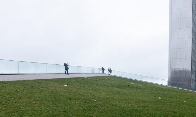 ¿Se pueden adquirir participaciones sociales por medio del 464?