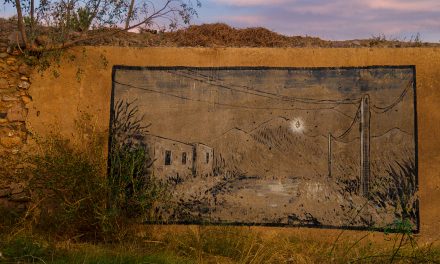 El contrato de servicios: una figura en busca de régimen jurídico