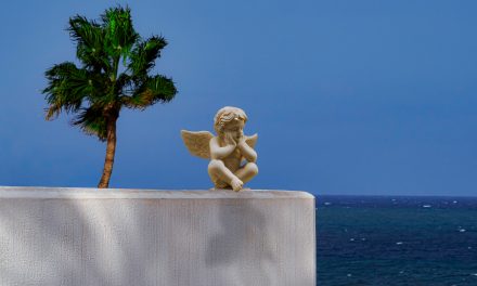 Caso Stellantis vs. Baomarc: art. 16 LCD —abuso de una situación de dependencia económica—