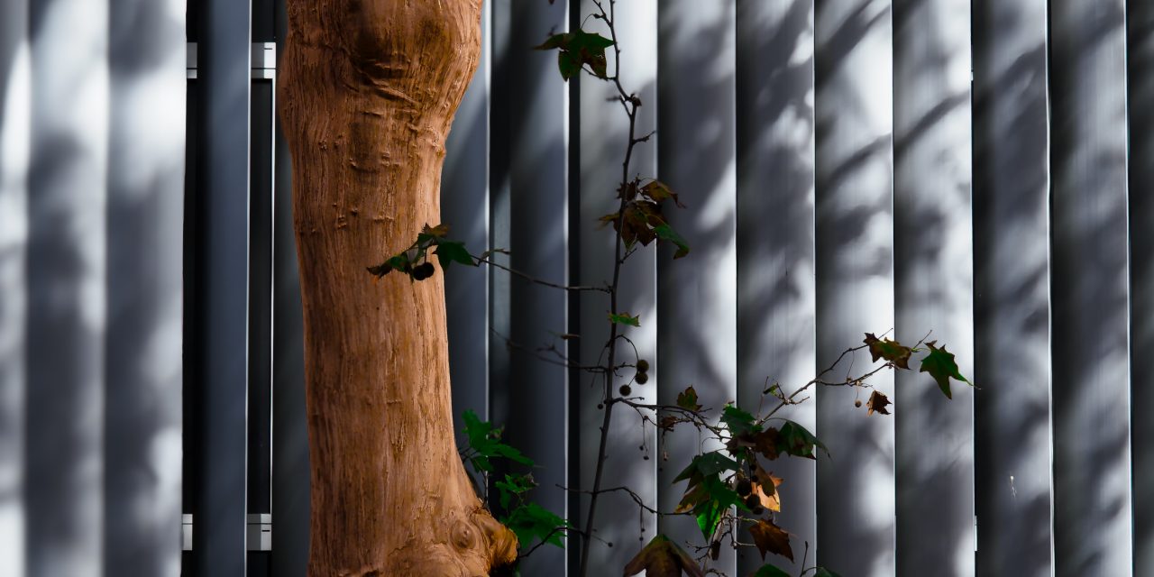 Cálculo de las mayorías en la sociedad de responsabilidad limitada y conflictos de intereses