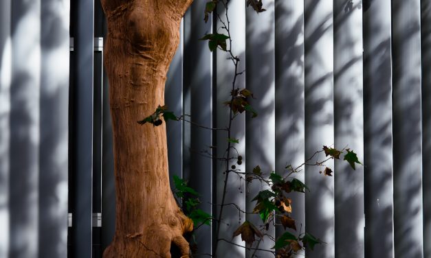 Cálculo de las mayorías en la sociedad de responsabilidad limitada y conflictos de intereses