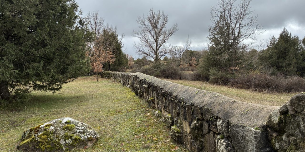De las obligaciones con cláusula penal y la elección del acreedor