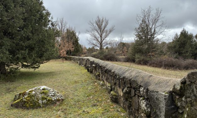 De las obligaciones con cláusula penal y la elección del acreedor