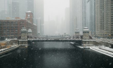 Por qué la IA generativa es menos útil para lidiar con cuestiones jurídicas que en otros ámbitos